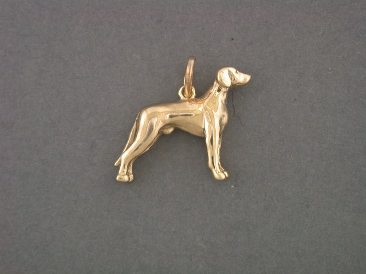 Rhodesian Ridgeback Full Body Med R Pendant