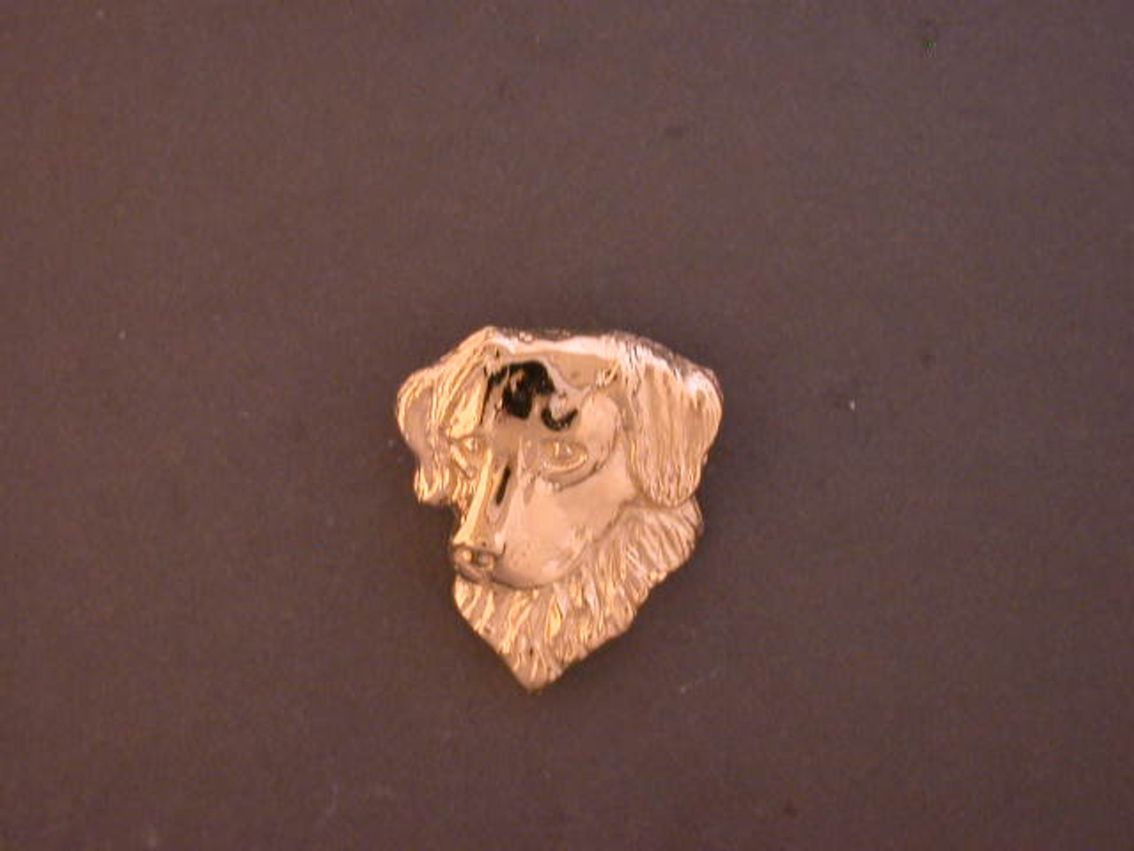 Nova Scotia Duck Tolling Retriever Head 3-4 View Med Pendant