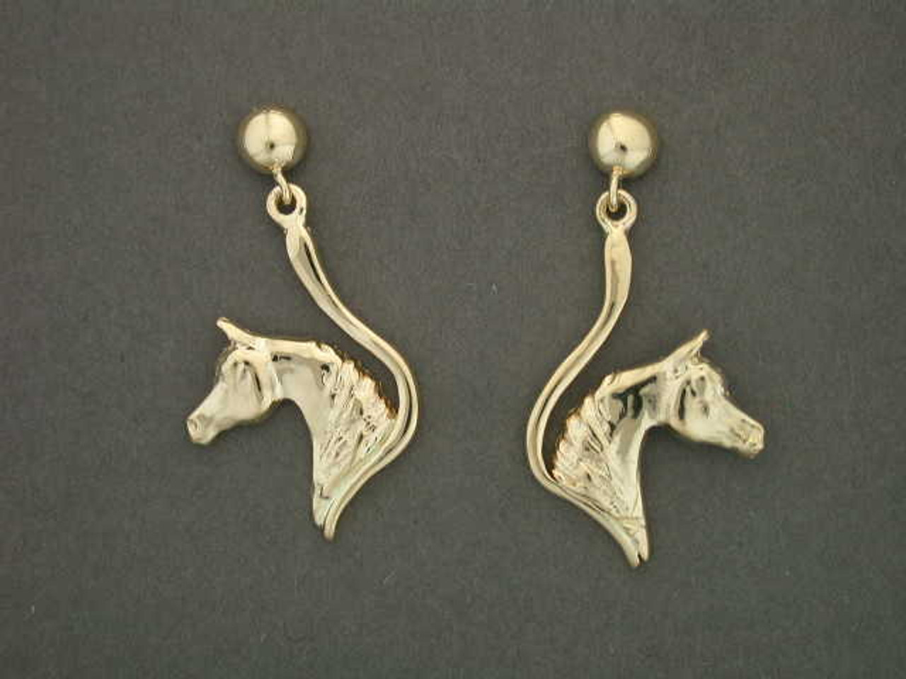 Earrings Snake Frame Arabian