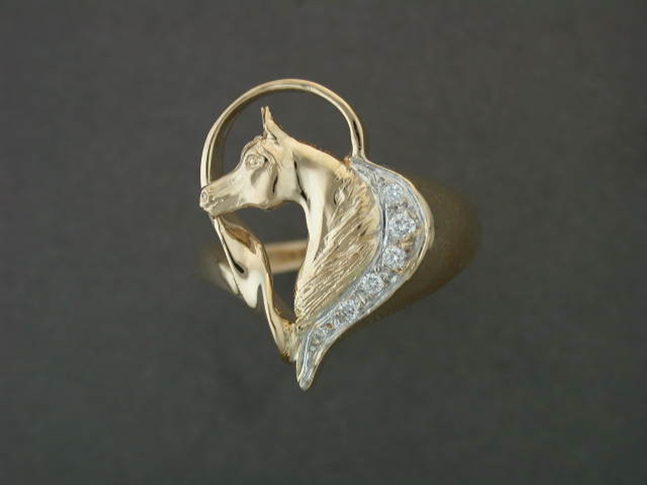 Ring Hear Half Closed With Arabian Horse