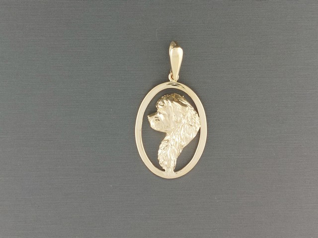 Frame Oval Five Five With Newfoundland Pendant