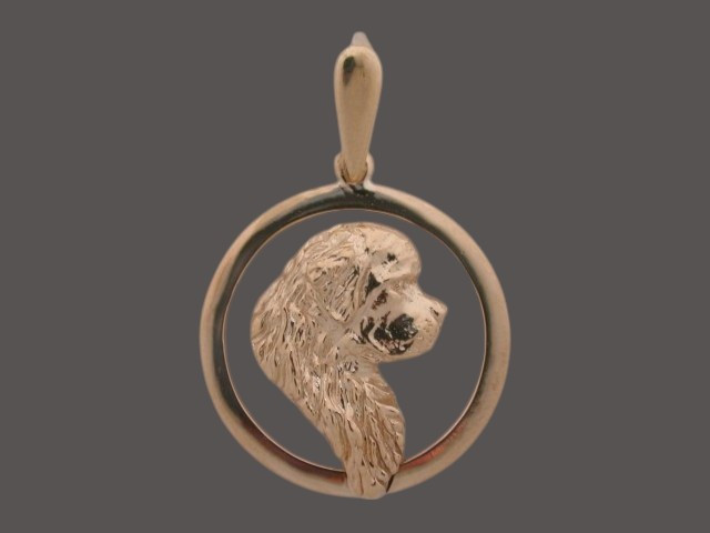 Frame Flat Round W Newfy Pendant