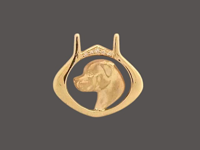 Frame Beta With Rottweiler Pendant