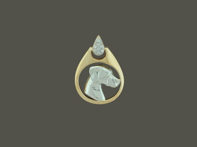 FRAME TEAR DROP WITH RHODESIAN RIDGEBACK