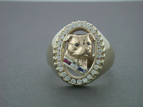 American Staffordshire Terrier Ring