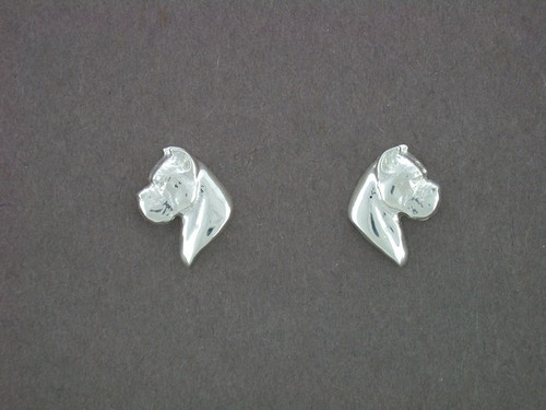 Cane Corso Earrings Head