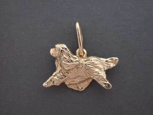 Cavalier King Charles Gating Sm L Pendant