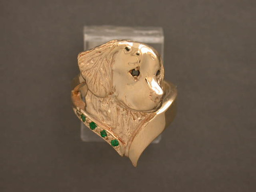 Golden Retriever Ring Split