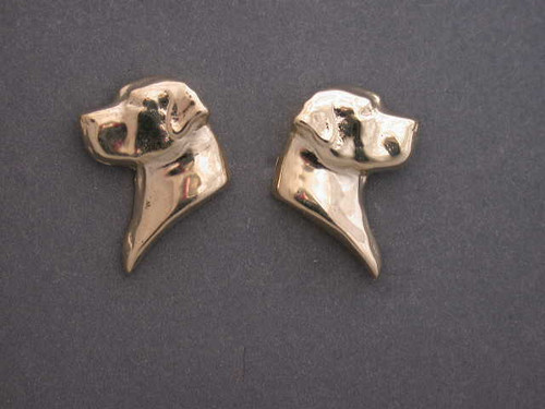 Great Swiss Mountain Dog Earring L&R Earrings
