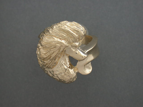 Poodle Ring Swirl