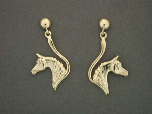 Earrings Snake Frame Arabian