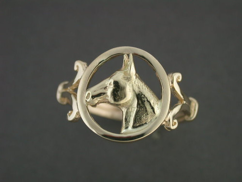 Ring Y For Cir Frame With Quarter Horse