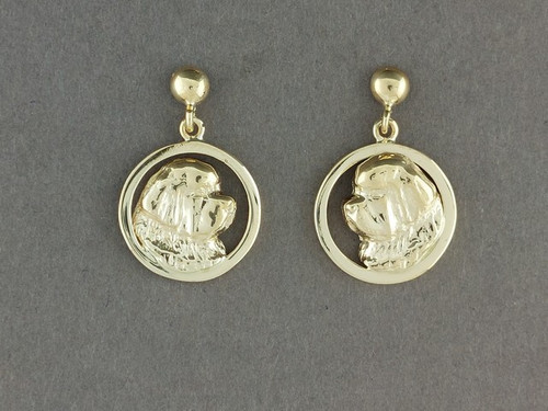 Earrings Round With Newfoundland