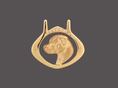 Frame Beta With Rottweiler Pendant