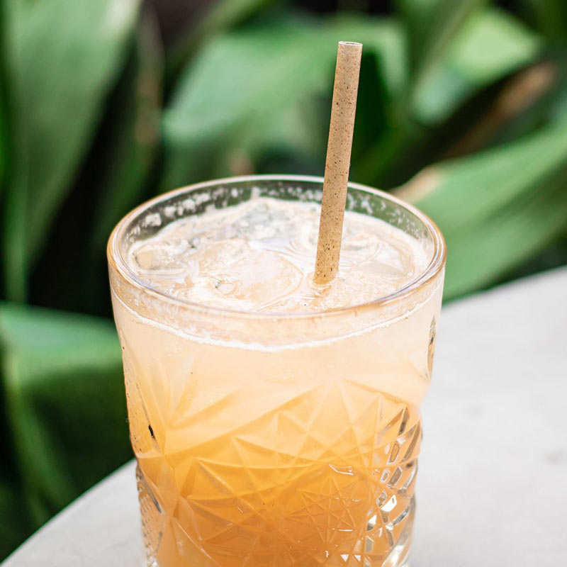 Short Agave Straws | 5.75
