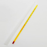 Thermometer - 30cm