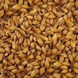 Crystal Malt (Pale) Grain