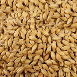 Pale Malt (5.5) (NZ) Grain
