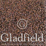 Gladfield Chocolate Malt - Light