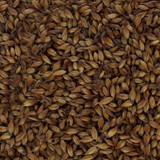 Caramel Munich 2 Malt Grain