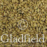 Gladfield Vienna Malt