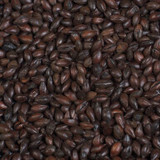 Roasted Barley Grain