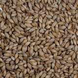 Maris Otter Pale Malt Grain