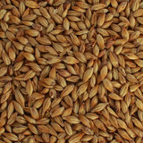 Caramel Hell Grain