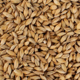 Carapils Malt