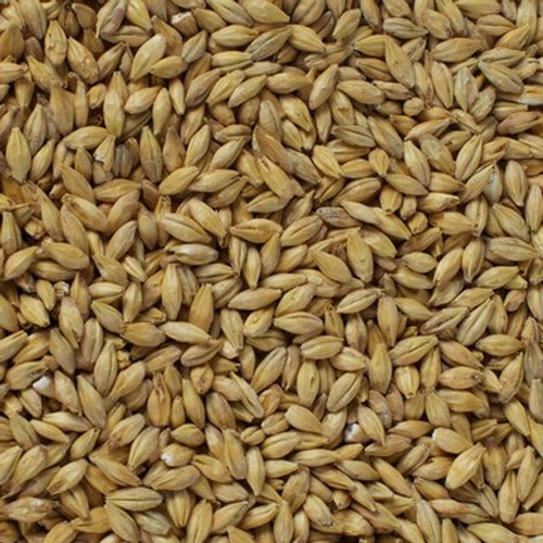 Acidulated Malt Grain