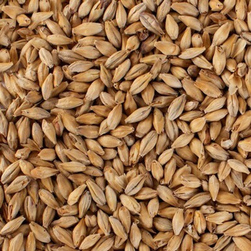 Light Munich Malt Grain