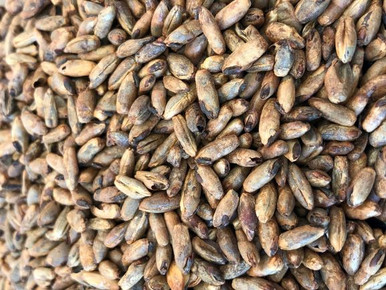 Black Forest Rye Malt (Gladfield)