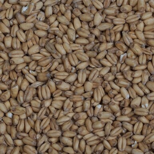 Wheat Malt (Light) Grain