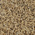 Oat Malt Grain