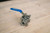 Ball Valve - 1/2" Ss Brewtech