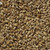 Smoked Malt Grain
