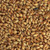 Caramalt Grain