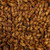 Crystal malt (dark) Grain