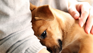 How to Calm Down in 30 Minutes or Less