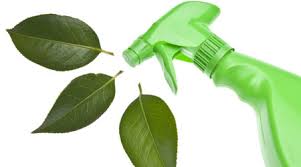 5 Green Cleaning Products Your Home Will Love 5 Green Cleaning Products Your Home Will Love