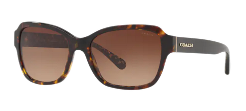 Shop for Coach 0HC8232