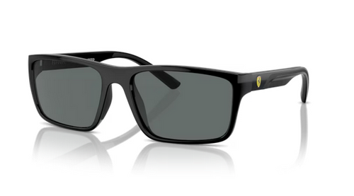 Shop for Ferrari 0FZ6003U