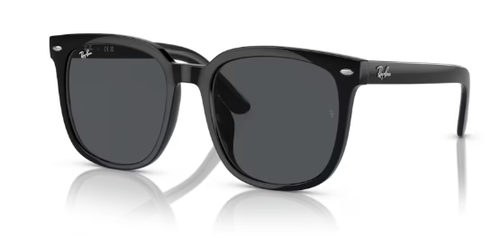 Ray-Ban RB4401D