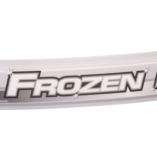 True 883560 - S-SFZF Frozen Food Sign Panel