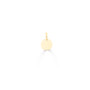 18ct Gold Vermeil Petite Disc Pendant