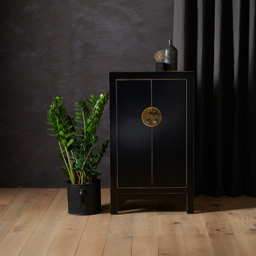 The Nine Schools Qing Black and Gilt Medium Cabinet
