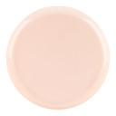 Edge Collection 10.6″ Pink Plates (10 Count)