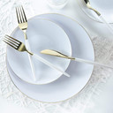 White and Gold Round Plastic Dinner Plates 10.25" (10 count)