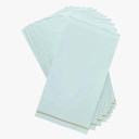 Mint with Gold Stripe Guest Paper Napkins (16 count)