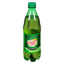 Ginger Ale (500 ml)